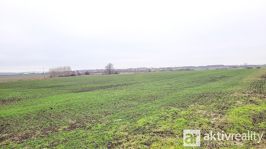 Prodej pole 19 414 m² – fotografie 5