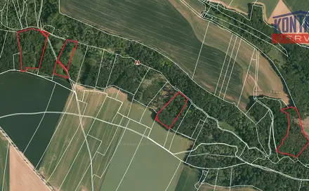 Prodej lesa 58 553 m², Chorušice - Velký Újezd, okres Mělník