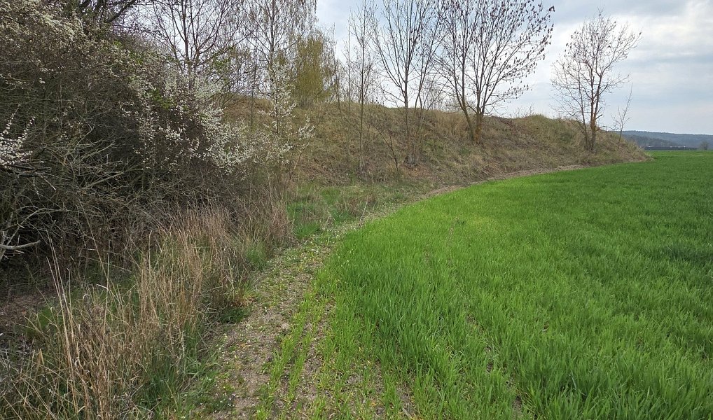 Prodej stavebního pozemku 14 793 m², Drásov – náhled fotky 11