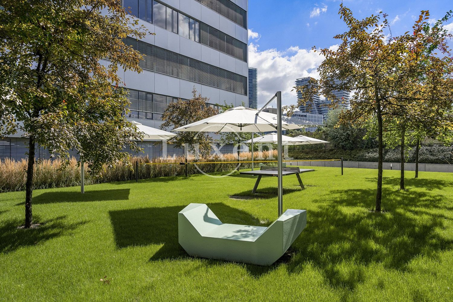 Pronájem obchodních prostor 630 m² – fotografie 4
