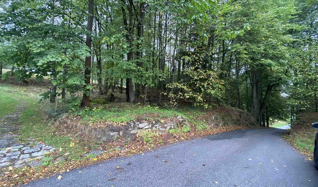 Prodej stavebního pozemku 3 849 m², Benešov nad Černou – náhled fotky 2