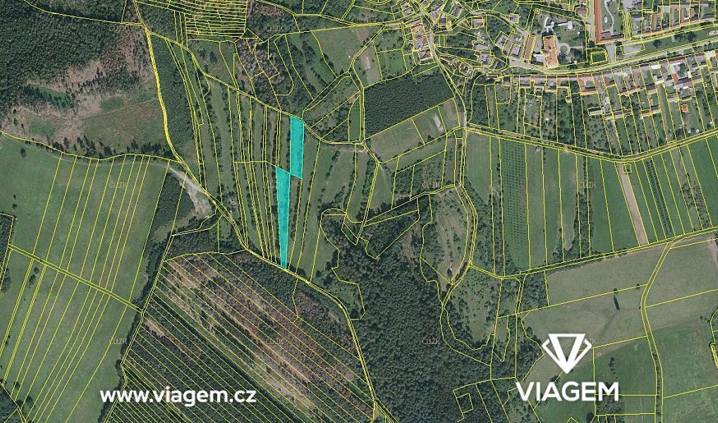 Prodej louky 2 410 m², Borotín – náhled fotky 2