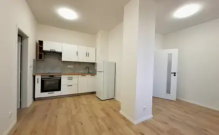Pronájem bytu 1+1 47 m²