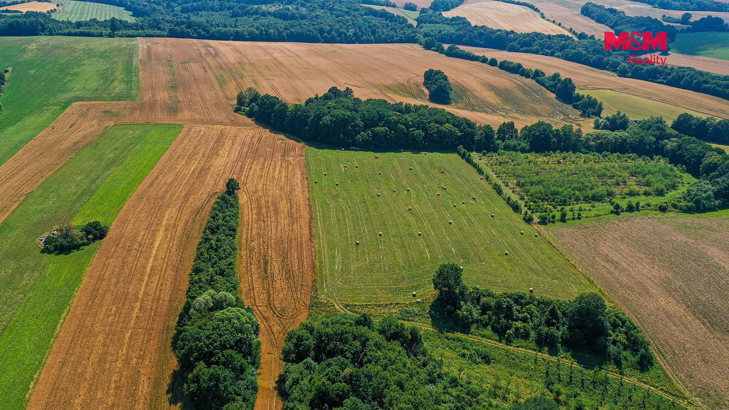 Fotka 8 z 13