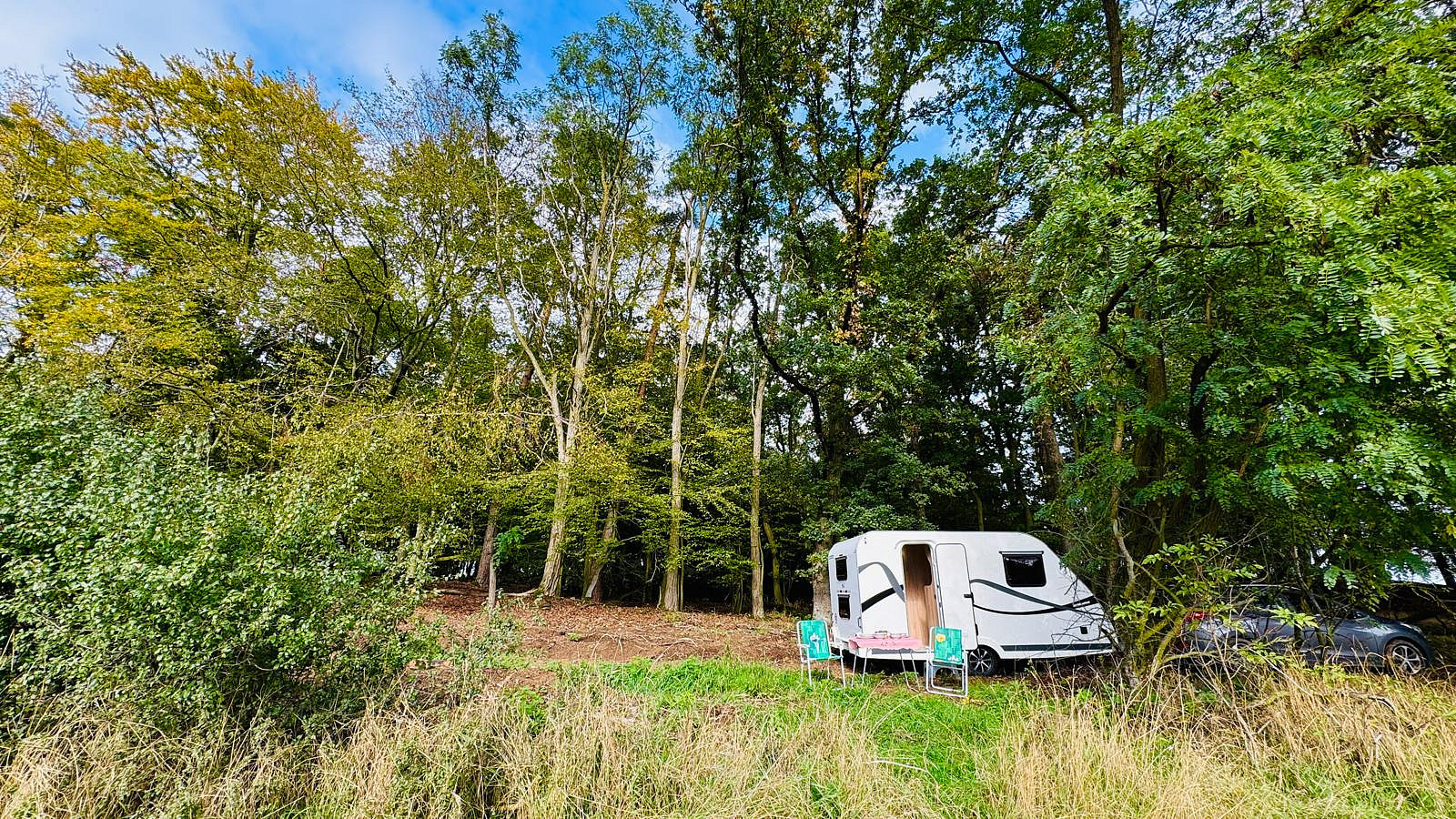 Prodej lesa 893 m² – fotografie 2