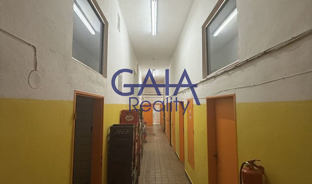 Prodej obchodních prostor 600 m², Dačice – náhled fotky 15