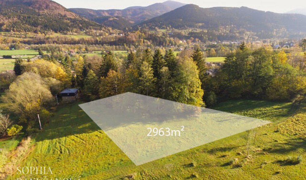 Prodej stavebního pozemku 2 963 m², Ostravice – náhled fotky 2