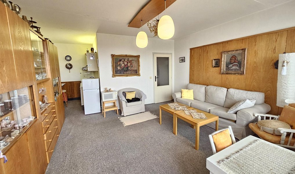 Prodej bytu 2+kk 45 m², Brno – náhled fotky 3