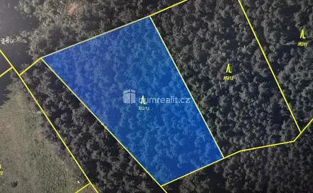 Prodej lesa 4 147 m², Nebahovy - Jelemek, okres Prachatice