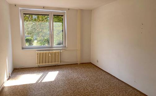 Pronájem bytu 1+kk 25 m², Kpt. Nálepky, Podbořany, okres Louny