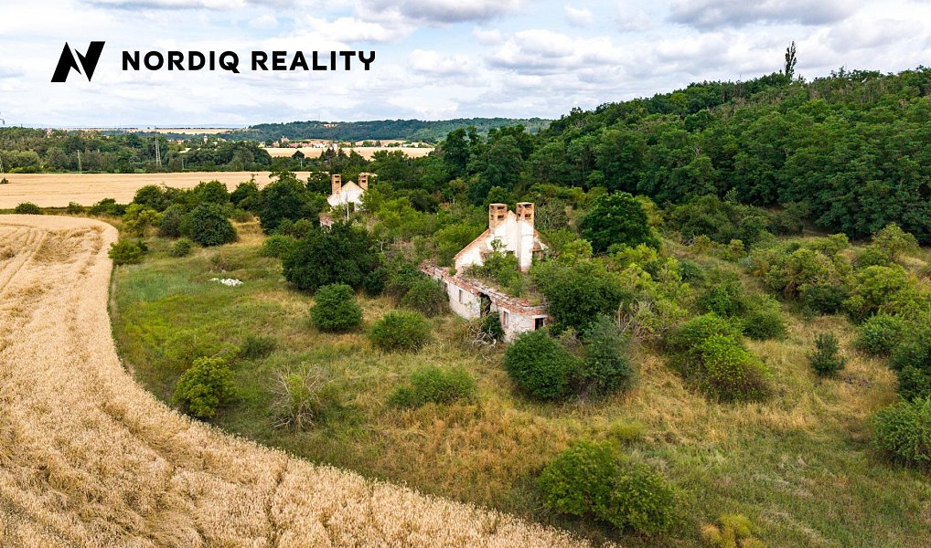 Prodej komerčního pozemku 16 786 m², Staňkovice – náhled fotky 3