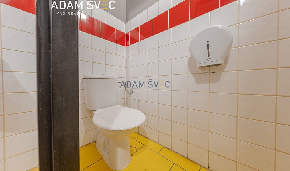 Pronájem obchodních prostor 150 m², Litovel – náhled fotky 17