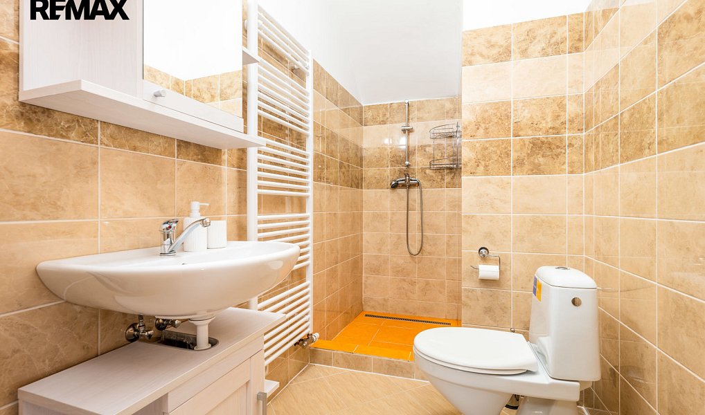 Prodej domu 363 m² s pozemkem 1 624 m², Paračov – náhled fotky 20
