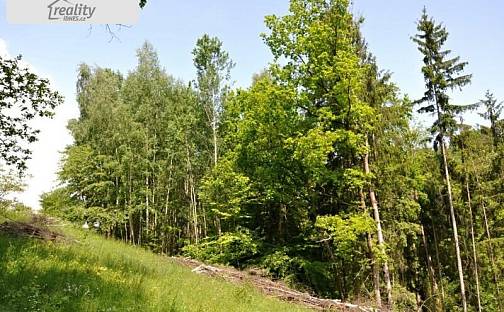Prodej lesa 11 720 m²