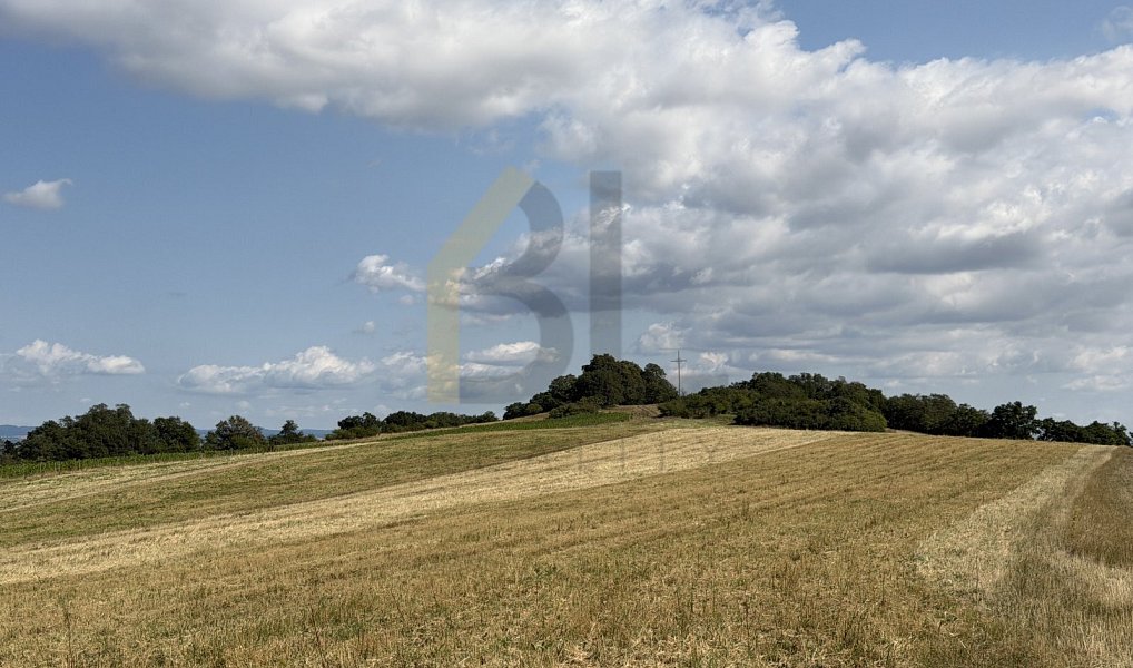 Prodej zahrady 3 867 m², Strážnice – náhled fotky 2