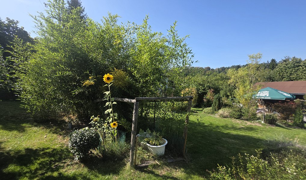 Prodej chaty/chalupy 18 m² s pozemkem 471 m², Kladno – náhled fotky 8