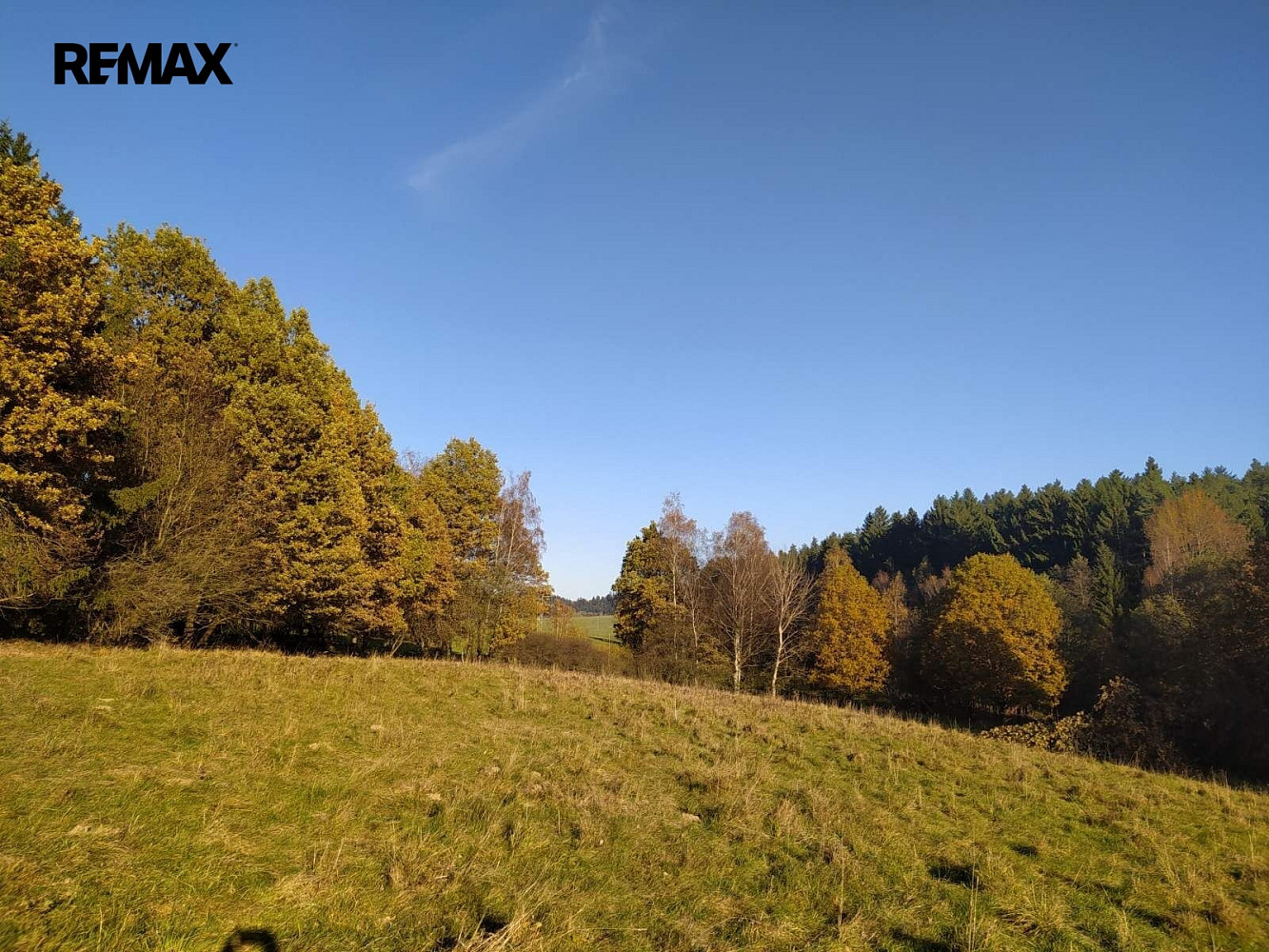 Prodej louky 20 332 m² – fotografie 4