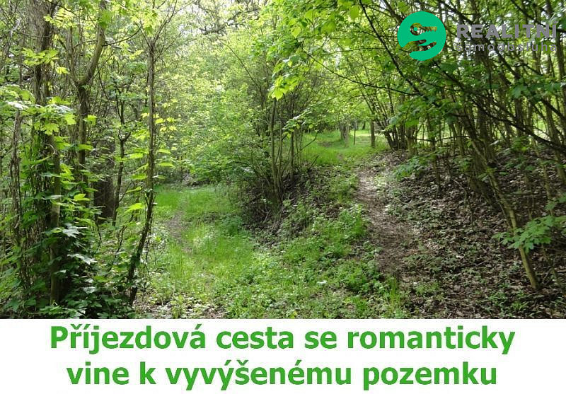Fotka 8 z 12