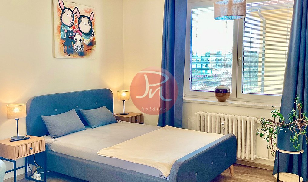 Pronájem bytu 1+1 40 m², Ostrava – náhled fotky 9