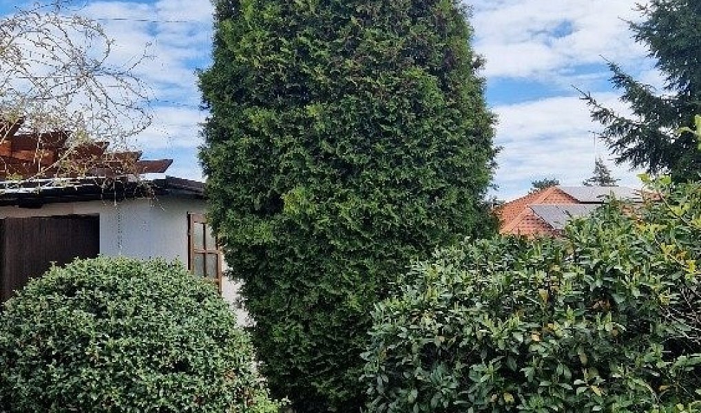 Prodej domu 176 m² s pozemkem 469 m², Dubí – náhled fotky 10