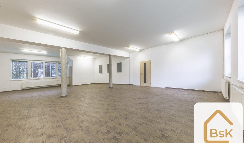 Pronájem obchodních prostor 228 m², Benešov – náhled fotky 4