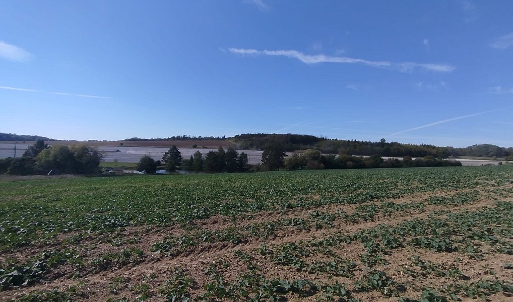 Prodej stavebního pozemku 56 184 m², Ježkovice – náhled fotky 13