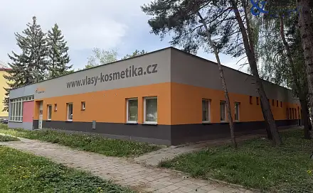 Prodej skladovacích prostor 568 m², Velká Dlážka, Přerov - Přerov I-Město