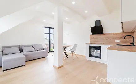 Prodej bytu 1+kk 45 m², Prokopa Velikého, Nový Bor, okres Česká Lípa