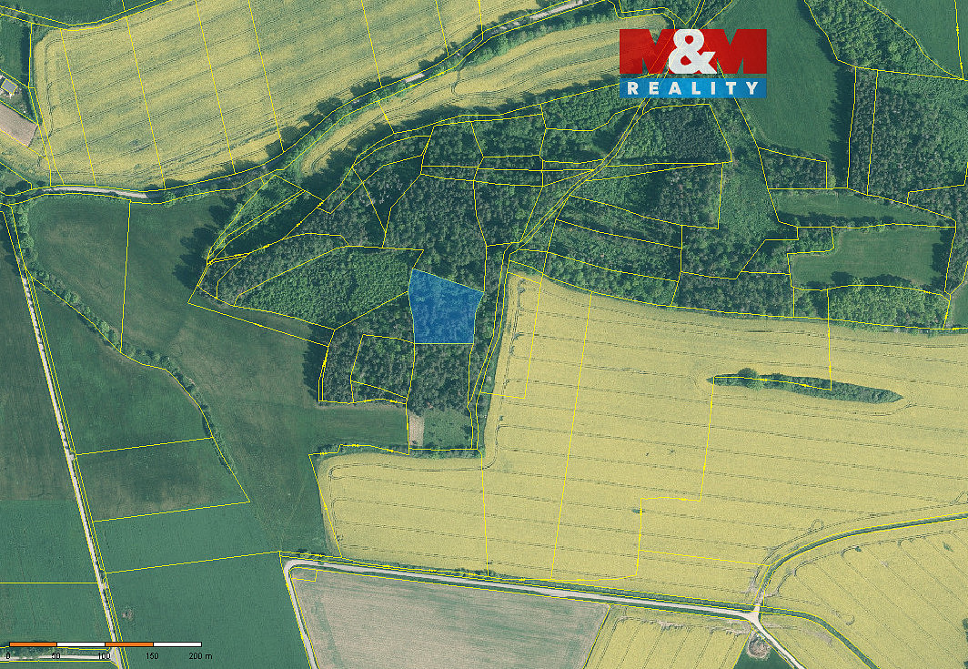Prodej lesa 4 545 m²