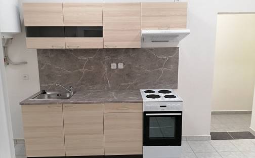 Pronájem bytu 1+kk 41 m², Osvoboz. pol. vězňů, Kladno