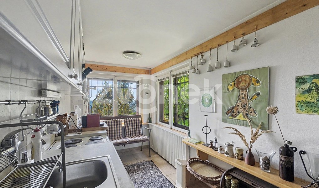 Prodej chaty/chalupy 167 m² s pozemkem 429 m², Bystřice pod Lopeníkem – náhled fotky 6