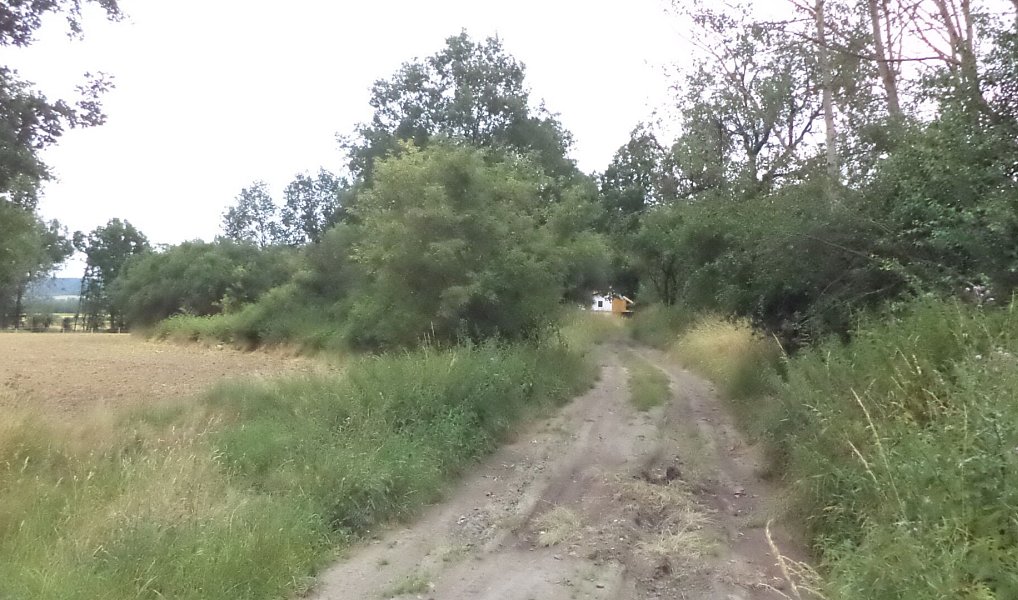 Prodej zahrady 1 100 m², Heřmanova Huť – náhled fotky 2