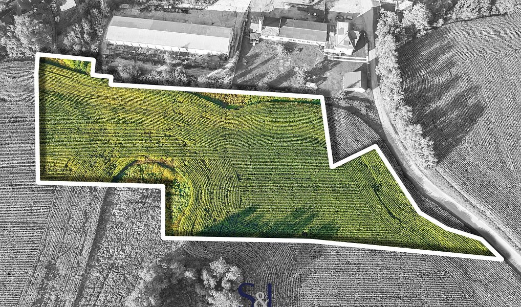 Prodej komerčního pozemku 13 896 m², Brniště – náhled fotky 3