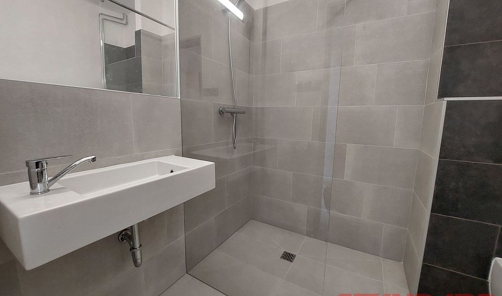 Pronájem bytu 1+1 37 m², Plzeň – náhled fotky 5