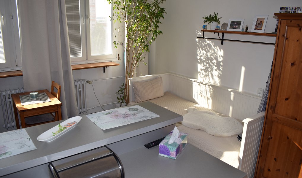 Prodej bytu 1+kk 23 m², Brno – náhled fotky 4