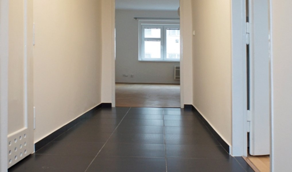 Pronájem bytu 1+1 50 m², Praha – náhled fotky 6