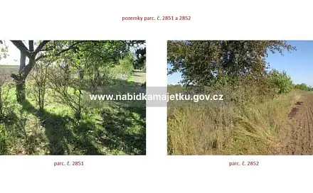 Prodej pole 863 m², Mikulčice, okres Hodonín