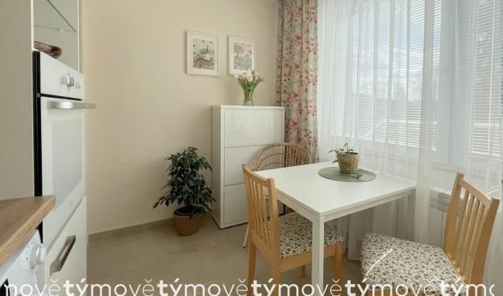 Pronájem bytu 1+1 35 m², Heřmanův Městec – náhled fotky 8