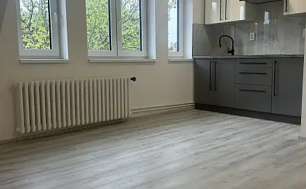 Pronájem bytu 1+kk 32 m², Královická, Praha 10 - Strašnice