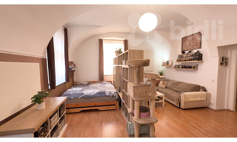 Prodej bytu 1+kk 63 m² – fotografie 3