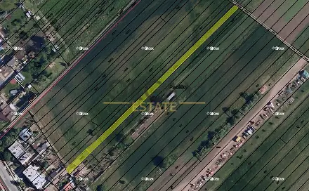 Ostatní
