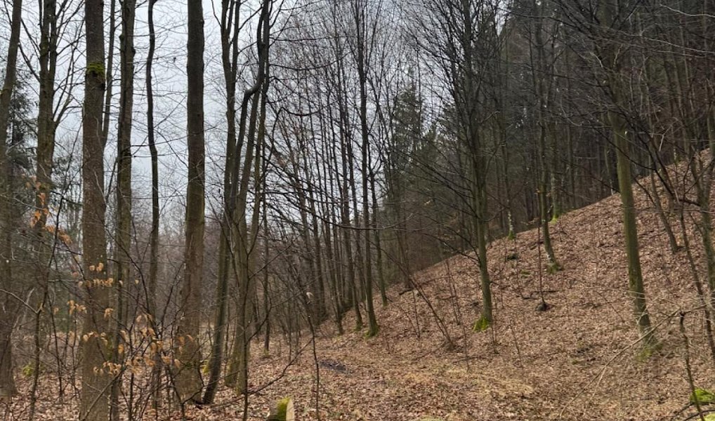 Prodej lesa 16 650 m², Zděchov – náhled fotky 17