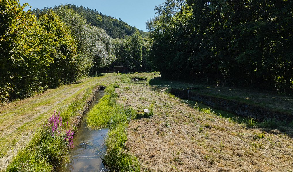 Prodej vodní plochy 8 295 m², Nové Hrady – náhled fotky 13