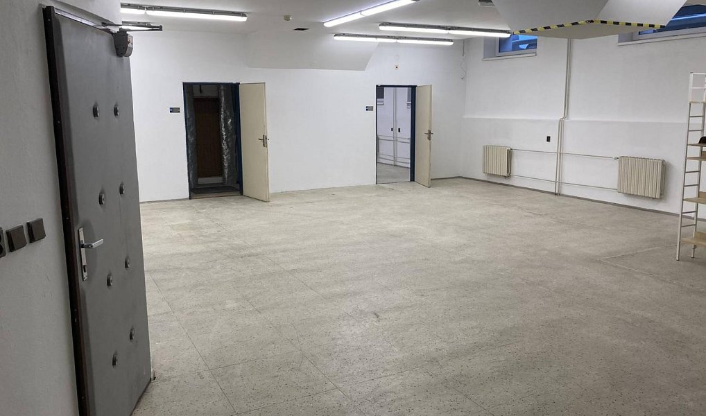 Pronájem výrobních prostor 450 m², Tábor – náhled fotky 6