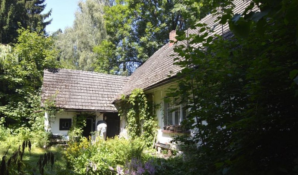 Prodej chaty/chalupy 120 m² s pozemkem 4 183 m², Horní Brusnice – náhled fotky 3
