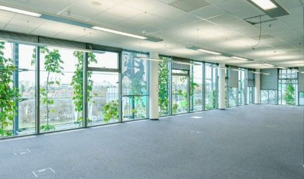 Pronájem kanceláře 530 m², Praha – náhled fotky 3
