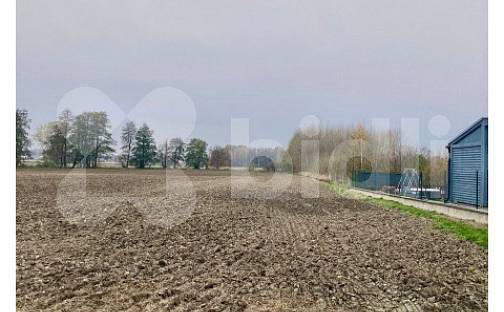 Prodej pole 3 178 m², Štítina, okres Opava