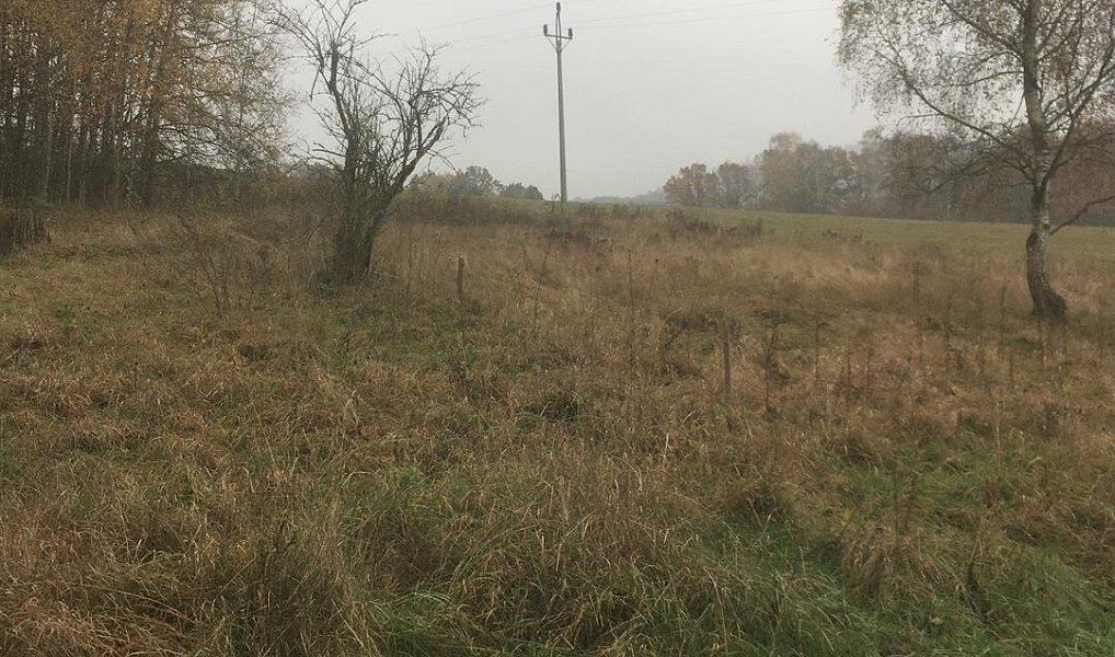 Prodej pozemku 5 142 m², Cvikov – náhled fotky 3