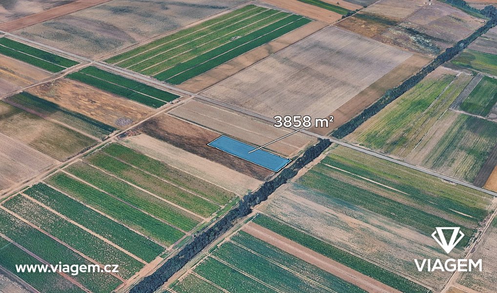 Prodej pole 3 858 m², Dřísy – fotka 1 z 5