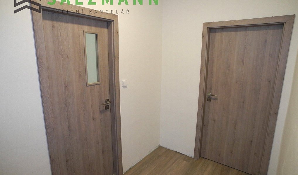 Pronájem bytu 3+kk 79 m², Plzeň – náhled fotky 22